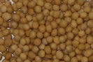 Cataplasma de mostaza
